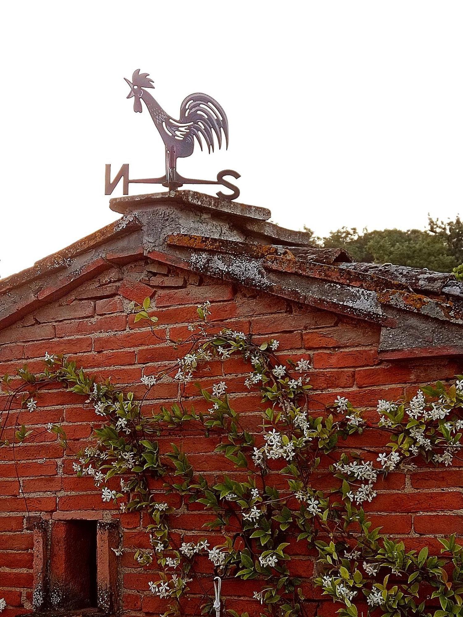 Casale - La Camera Di Leda Lamporecchio Εξωτερικό φωτογραφία
