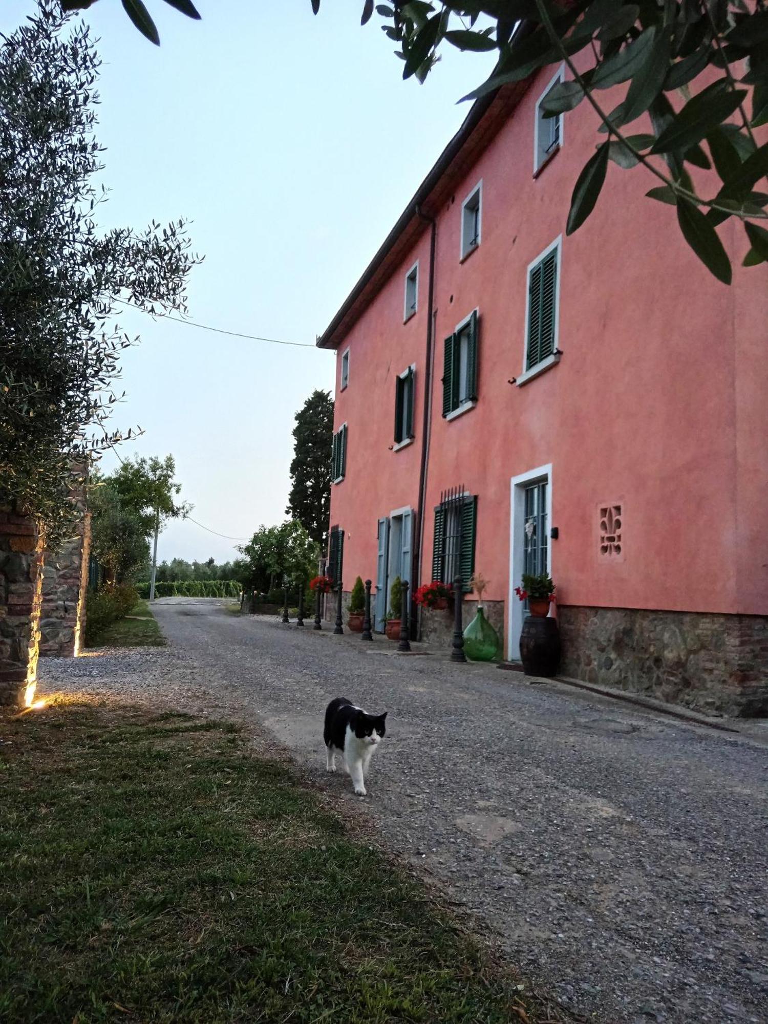 Casale - La Camera Di Leda Lamporecchio Εξωτερικό φωτογραφία